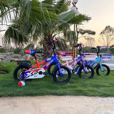 12 ιντσών Carbon Steel Frame Ride On Toy N.W 8 κιλών και κατάλληλο για 2-7 ετών μωρό