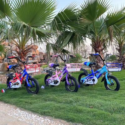 12 ιντσών Carbon Steel Frame Ride On Toy N.W 8 κιλών και κατάλληλο για 2-7 ετών μωρό